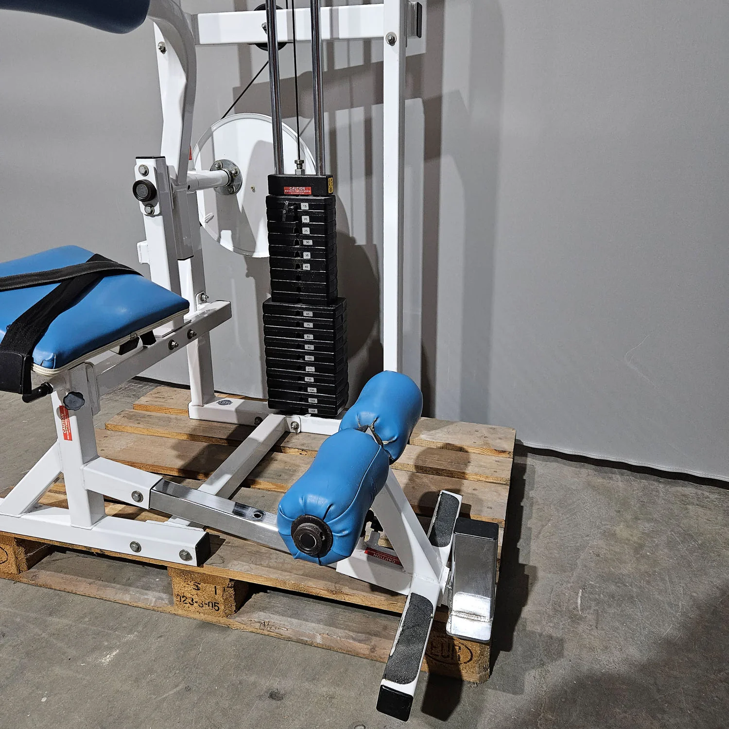 Thumb 5